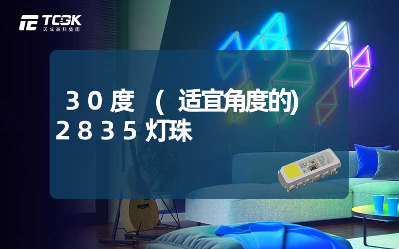 30度 (适宜角度的) 2835灯珠